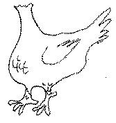 Mike, the Wonder Chicken
